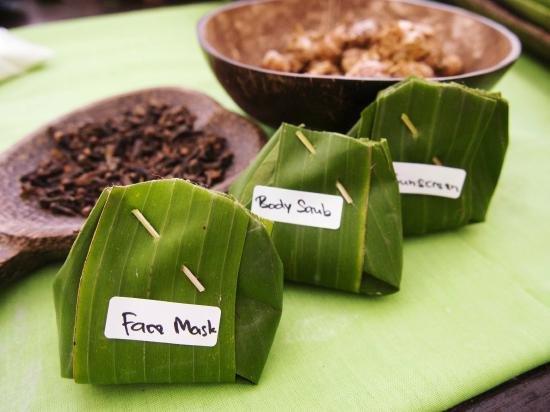 Ubud Botany Interactive